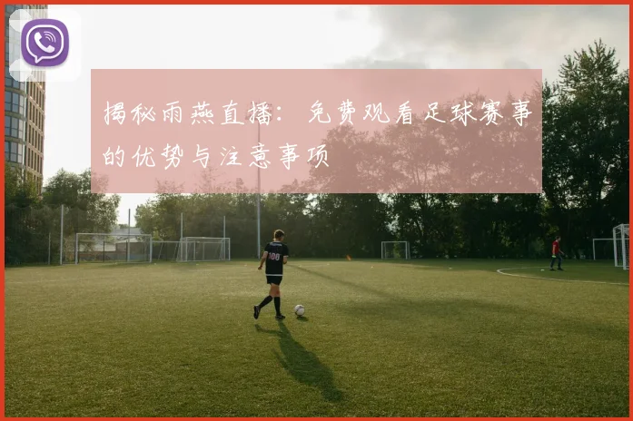 揭秘雨燕直播：免费观看足球赛事的优势与注意事项