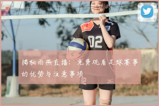 揭秘雨燕直播：免费观看足球赛事的优势与注意事项