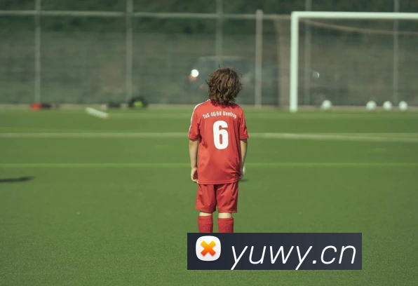 开云在线手机登陆发展历程